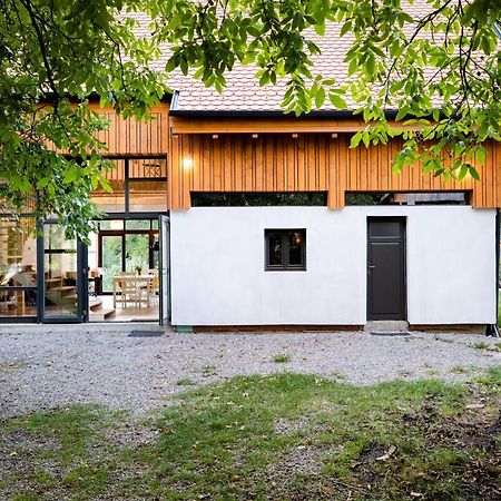 Cîmpu CetăţiiAster Panzio住宿加早餐旅馆 外观 照片