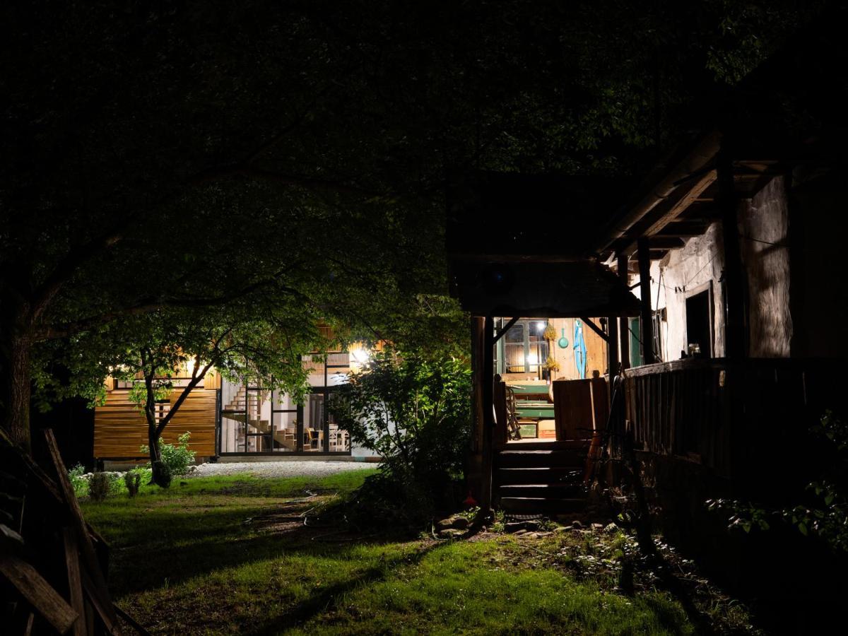 Cîmpu CetăţiiAster Panzio住宿加早餐旅馆 外观 照片