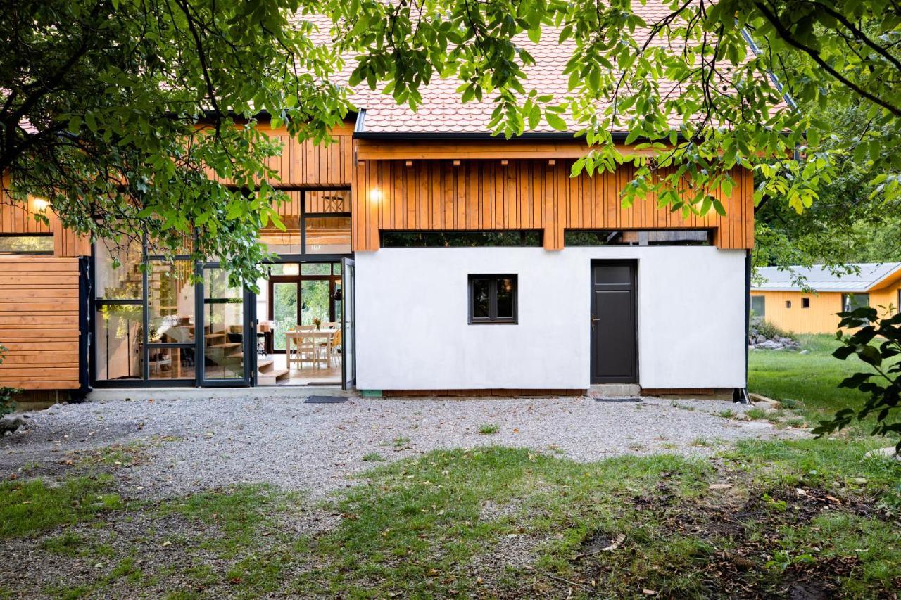 Cîmpu CetăţiiAster Panzio住宿加早餐旅馆 外观 照片