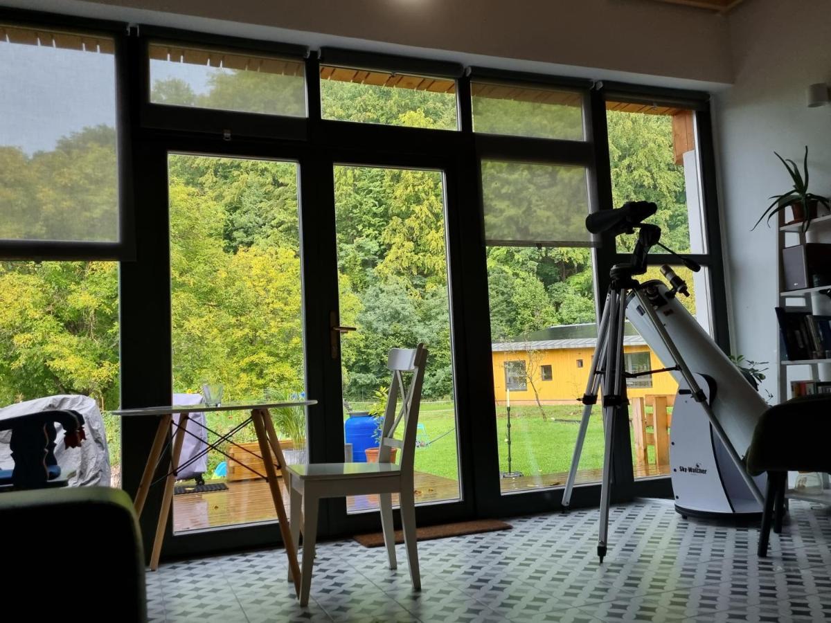Cîmpu CetăţiiAster Panzio住宿加早餐旅馆 外观 照片
