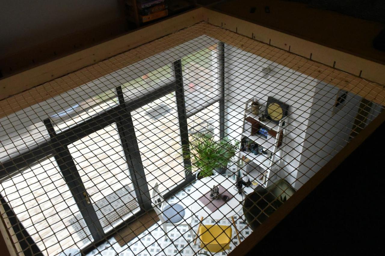 Cîmpu CetăţiiAster Panzio住宿加早餐旅馆 外观 照片