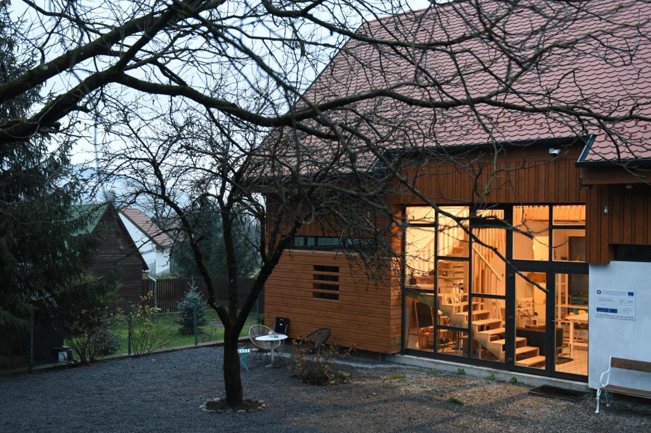 Cîmpu CetăţiiAster Panzio住宿加早餐旅馆 外观 照片