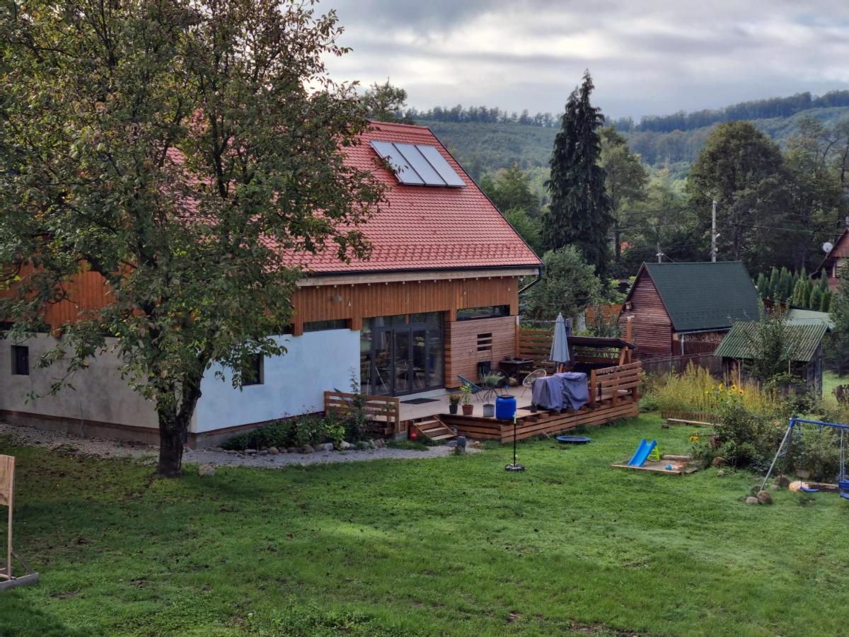 Cîmpu CetăţiiAster Panzio住宿加早餐旅馆 外观 照片