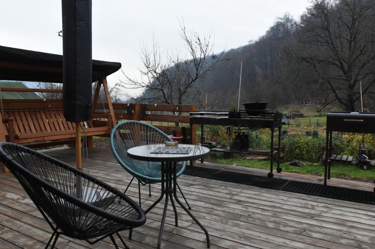 Cîmpu CetăţiiAster Panzio住宿加早餐旅馆 外观 照片