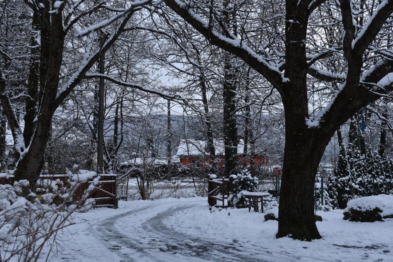 Cîmpu CetăţiiAster Panzio住宿加早餐旅馆 外观 照片