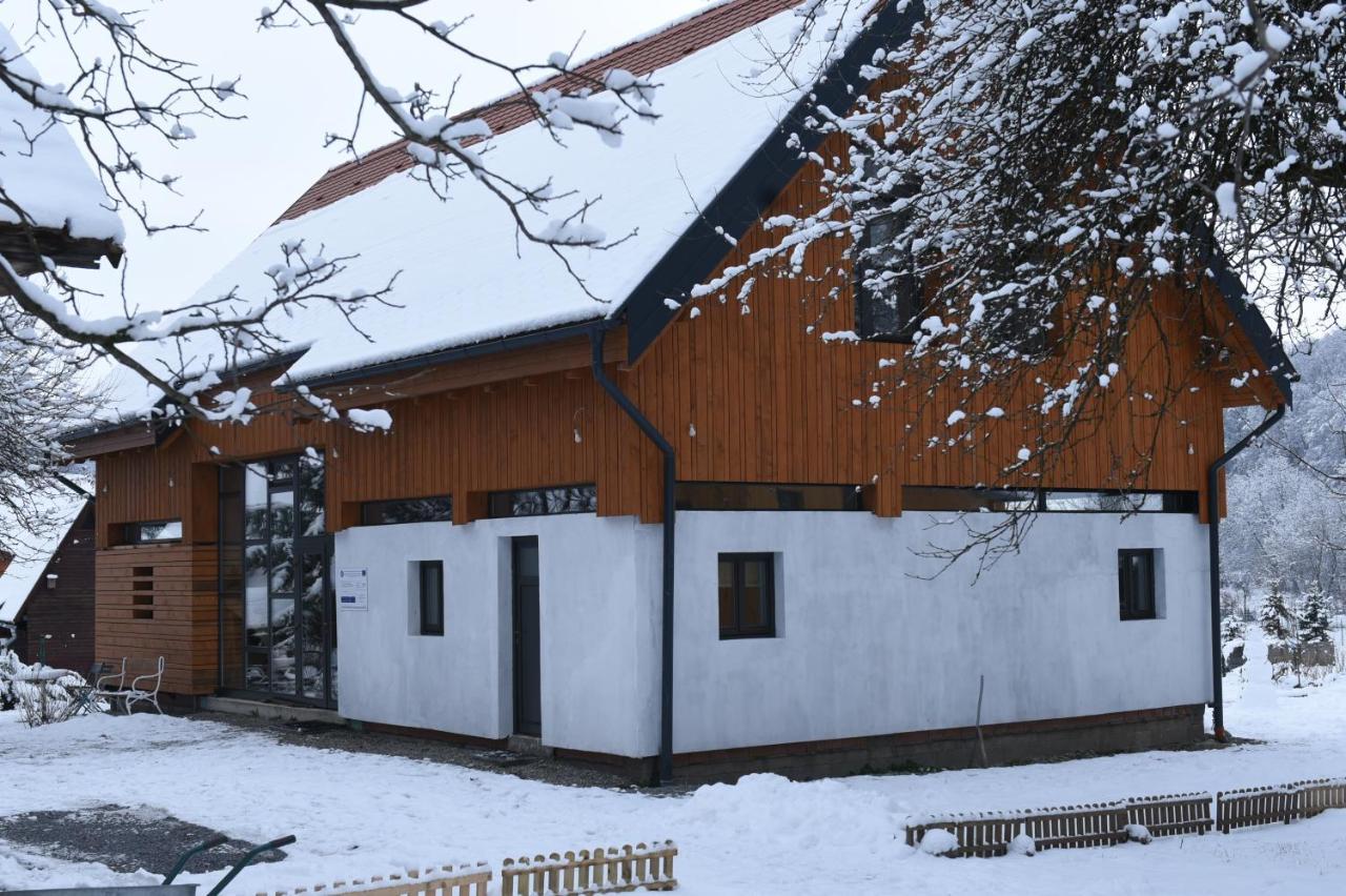 Cîmpu CetăţiiAster Panzio住宿加早餐旅馆 外观 照片