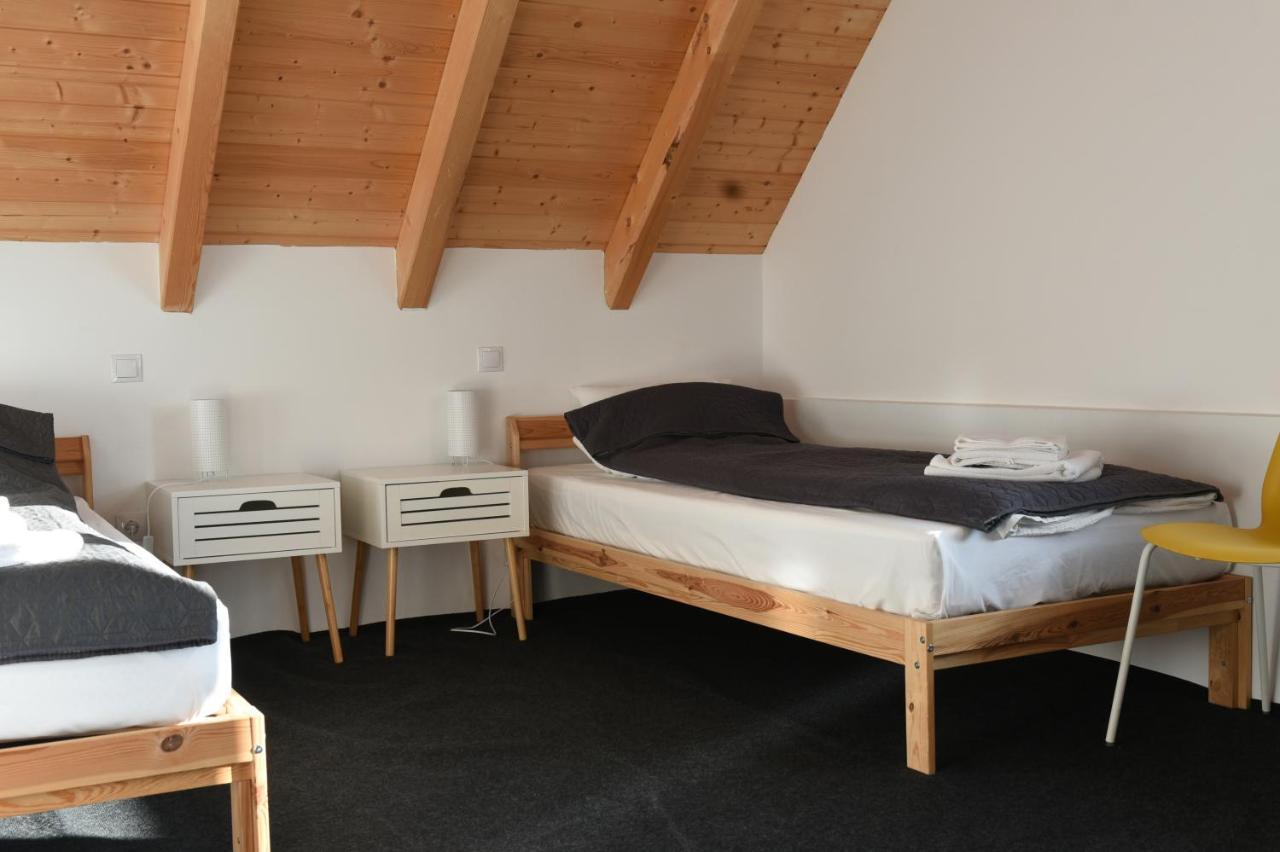 Cîmpu CetăţiiAster Panzio住宿加早餐旅馆 外观 照片