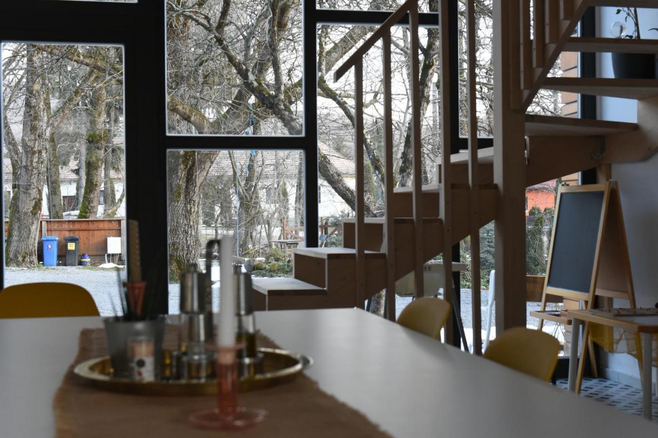 Cîmpu CetăţiiAster Panzio住宿加早餐旅馆 外观 照片