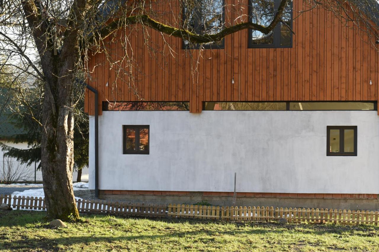 Cîmpu CetăţiiAster Panzio住宿加早餐旅馆 外观 照片