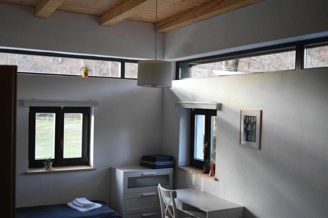 Cîmpu CetăţiiAster Panzio住宿加早餐旅馆 外观 照片