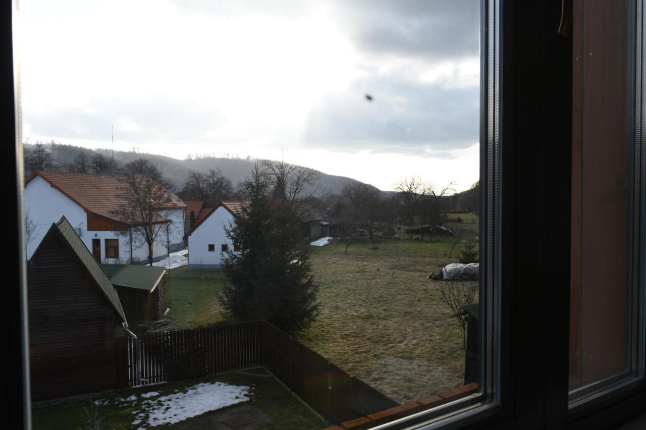 Cîmpu CetăţiiAster Panzio住宿加早餐旅馆 外观 照片
